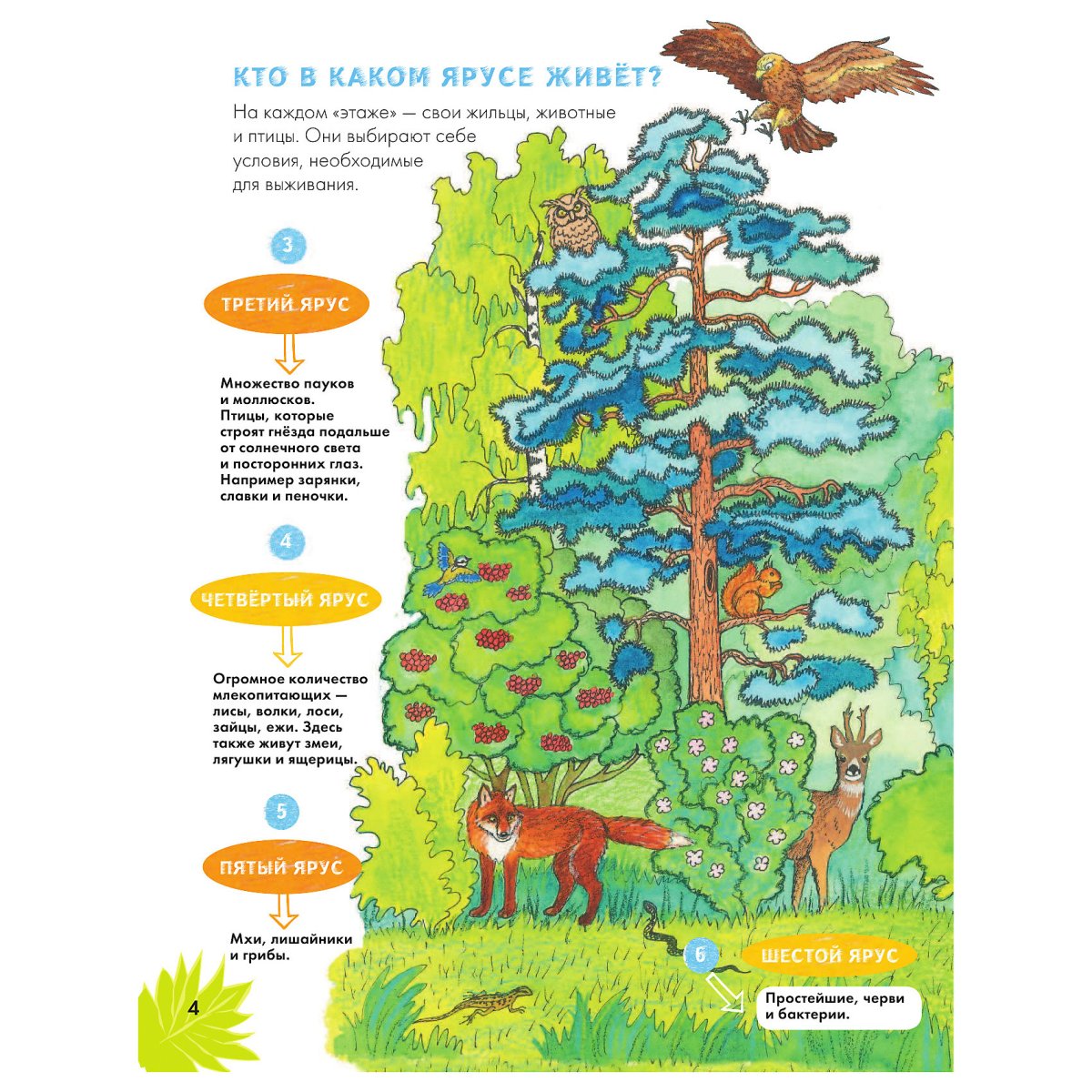 Сказочный лес для детей