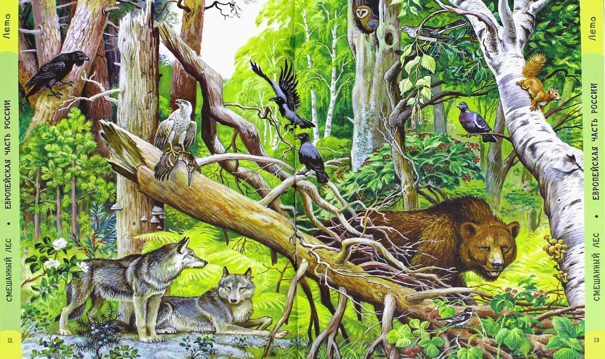 Жители леса
