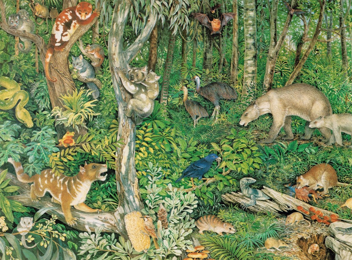 Биоценоз Дубравы