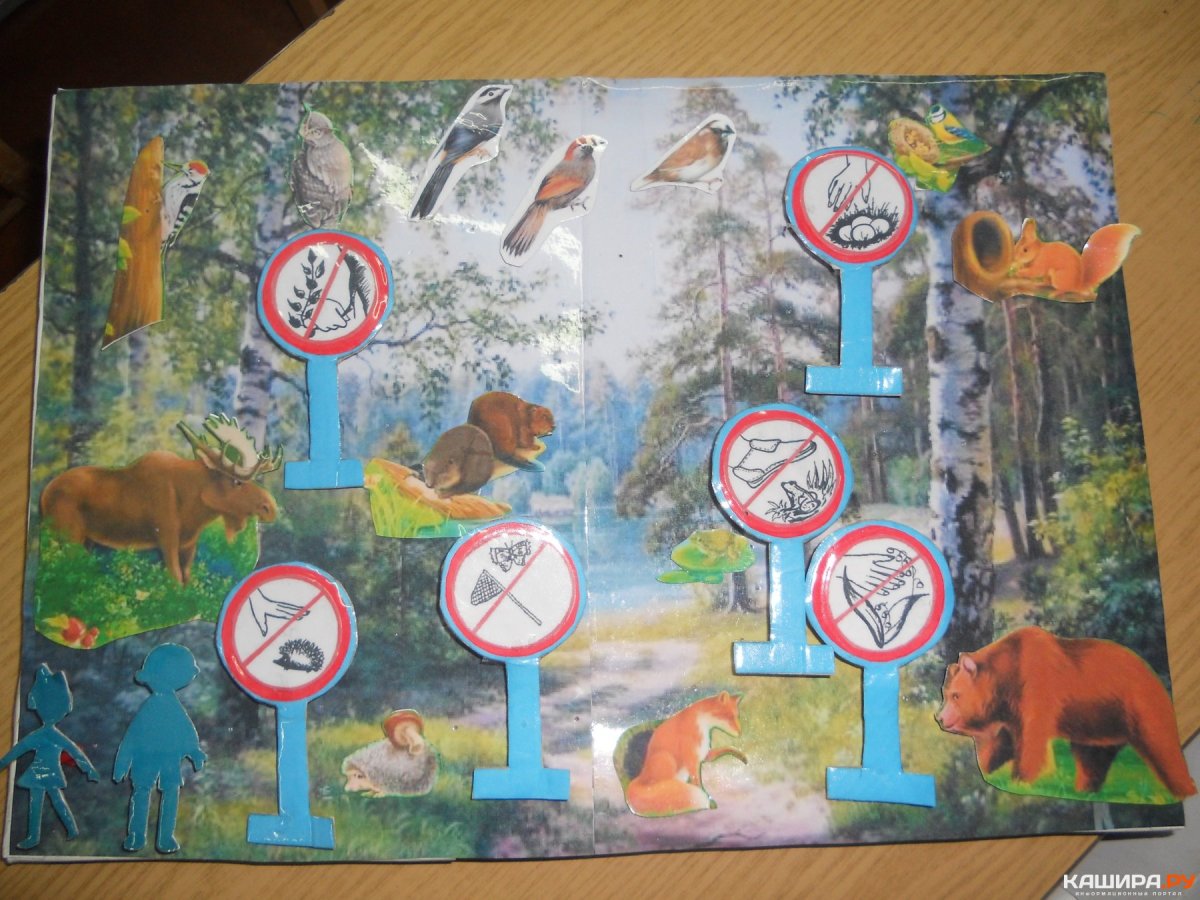 Сказочная Полянка в лесу