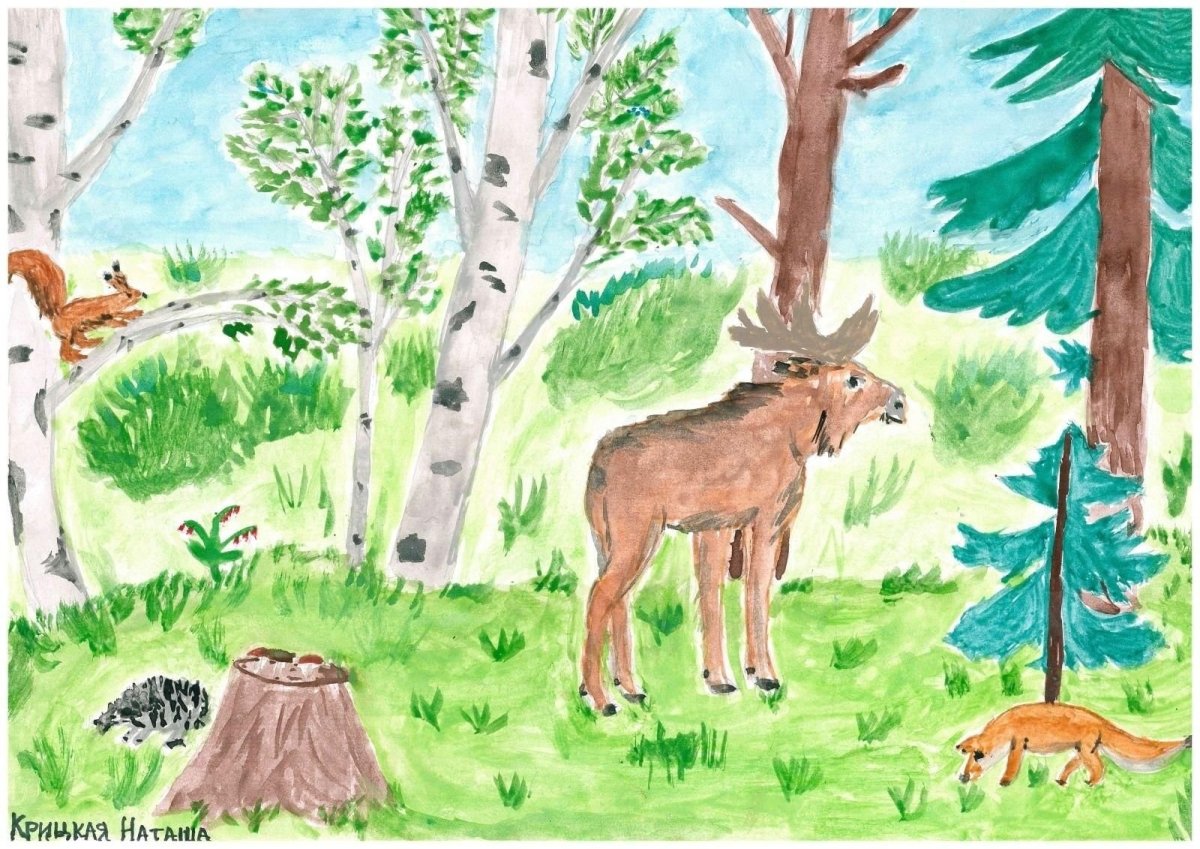 Лес из сказки