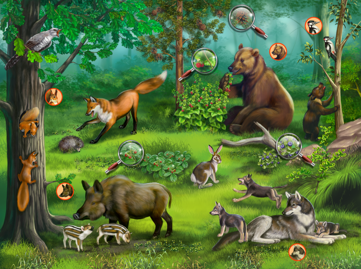 Четвертый ярус лиственного леса