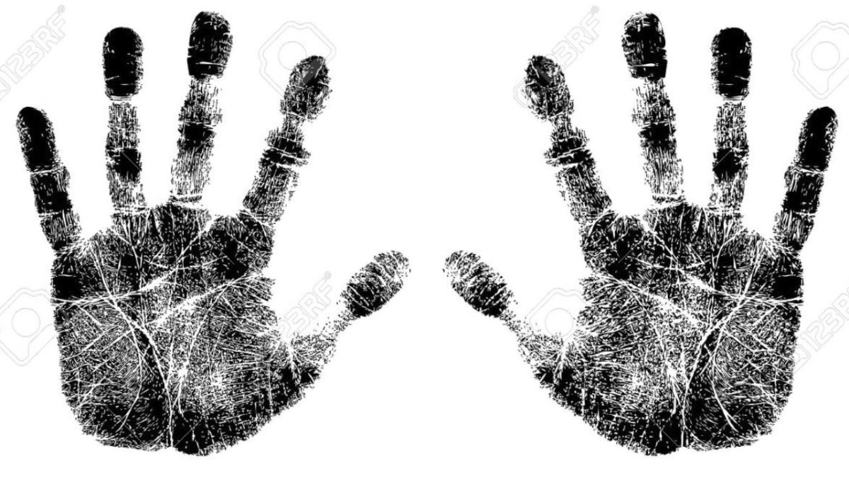 Отпечаток левой руки