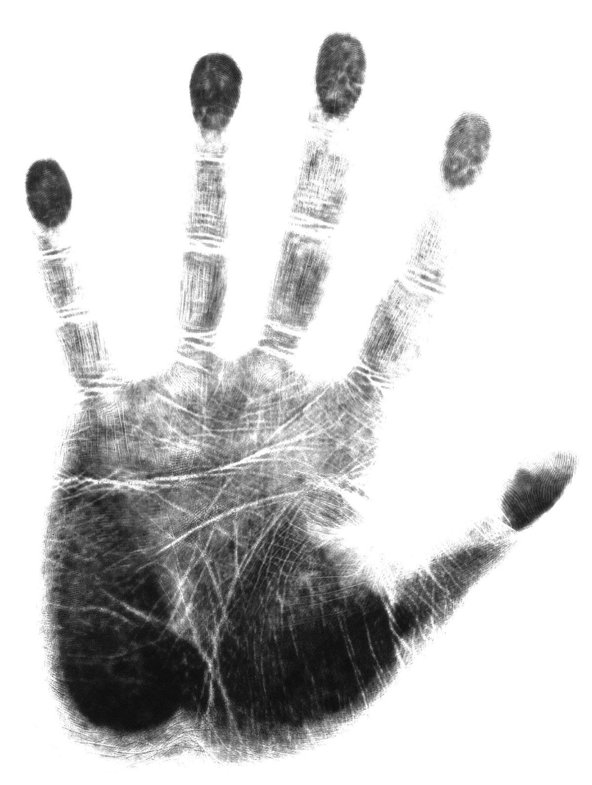 Голубая ладошка