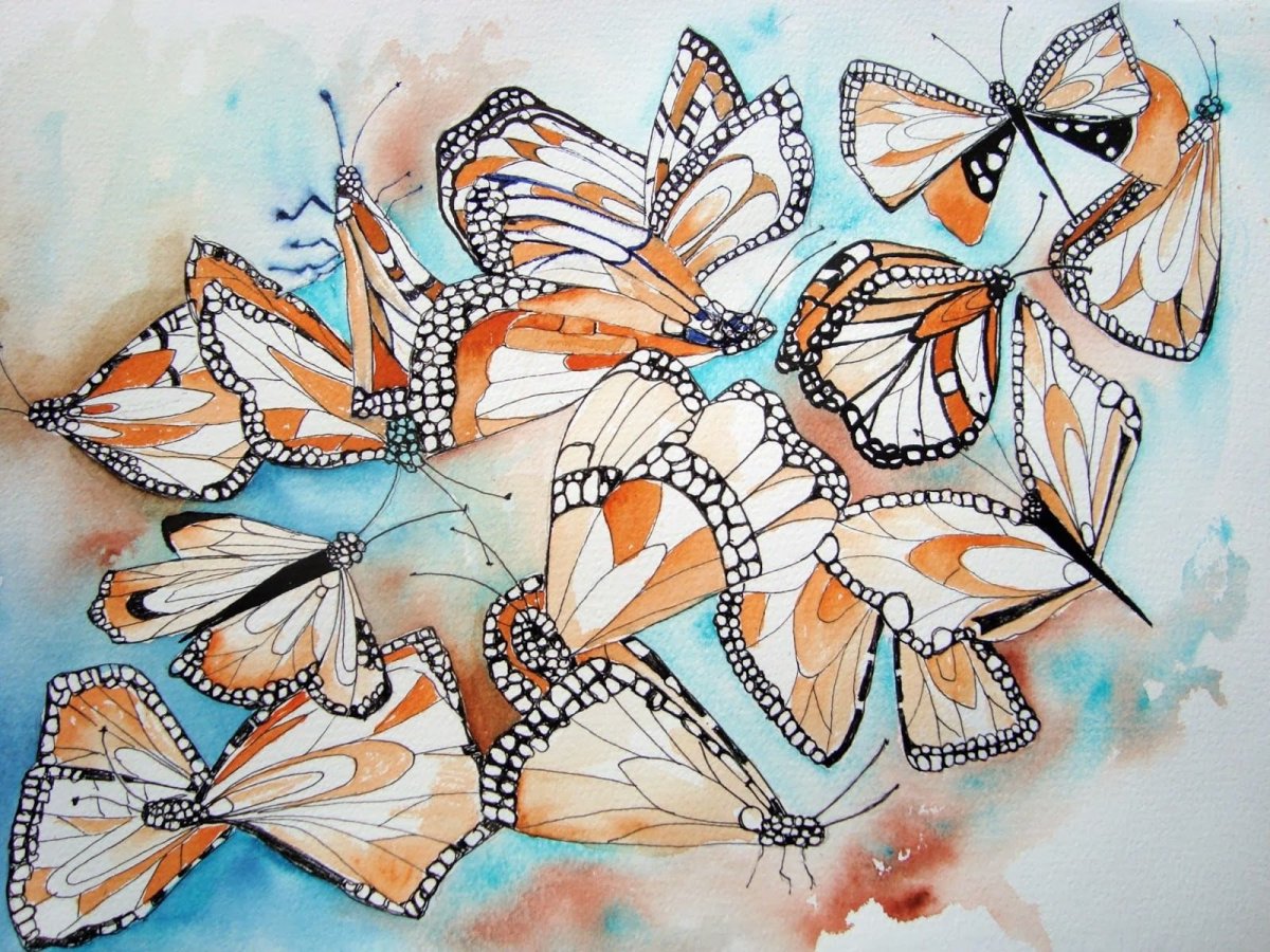 Бабочка Графика акварель
