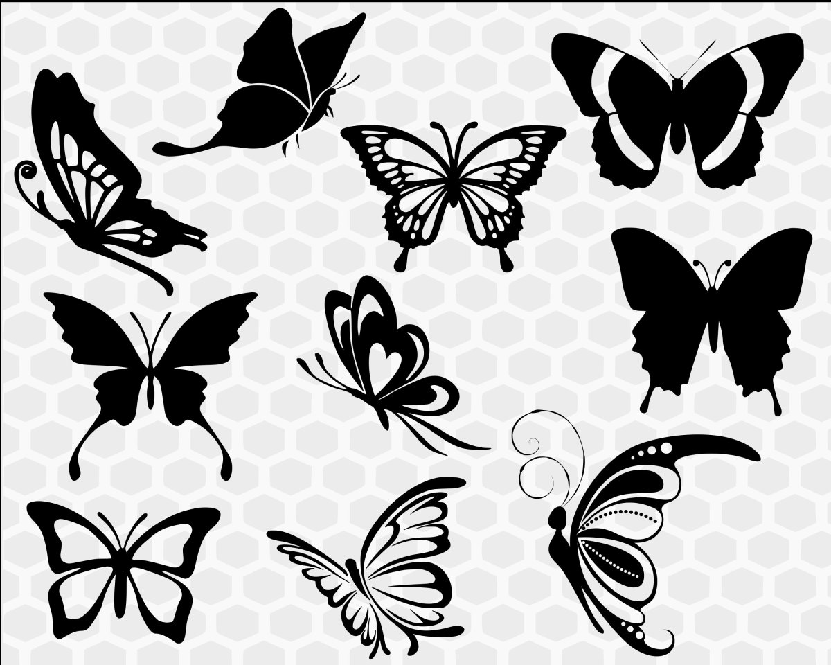 Бабочка СВГ