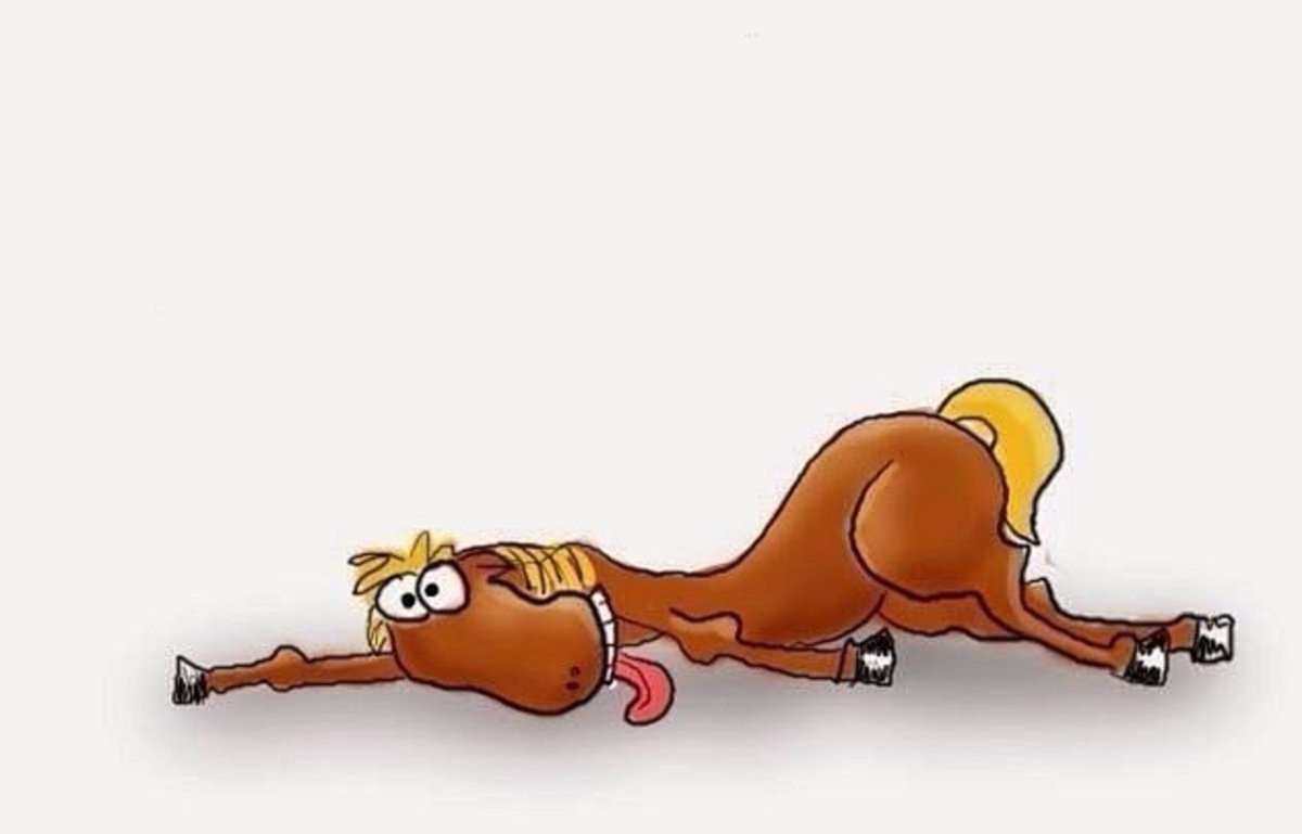 Уставшая лошадь прикол