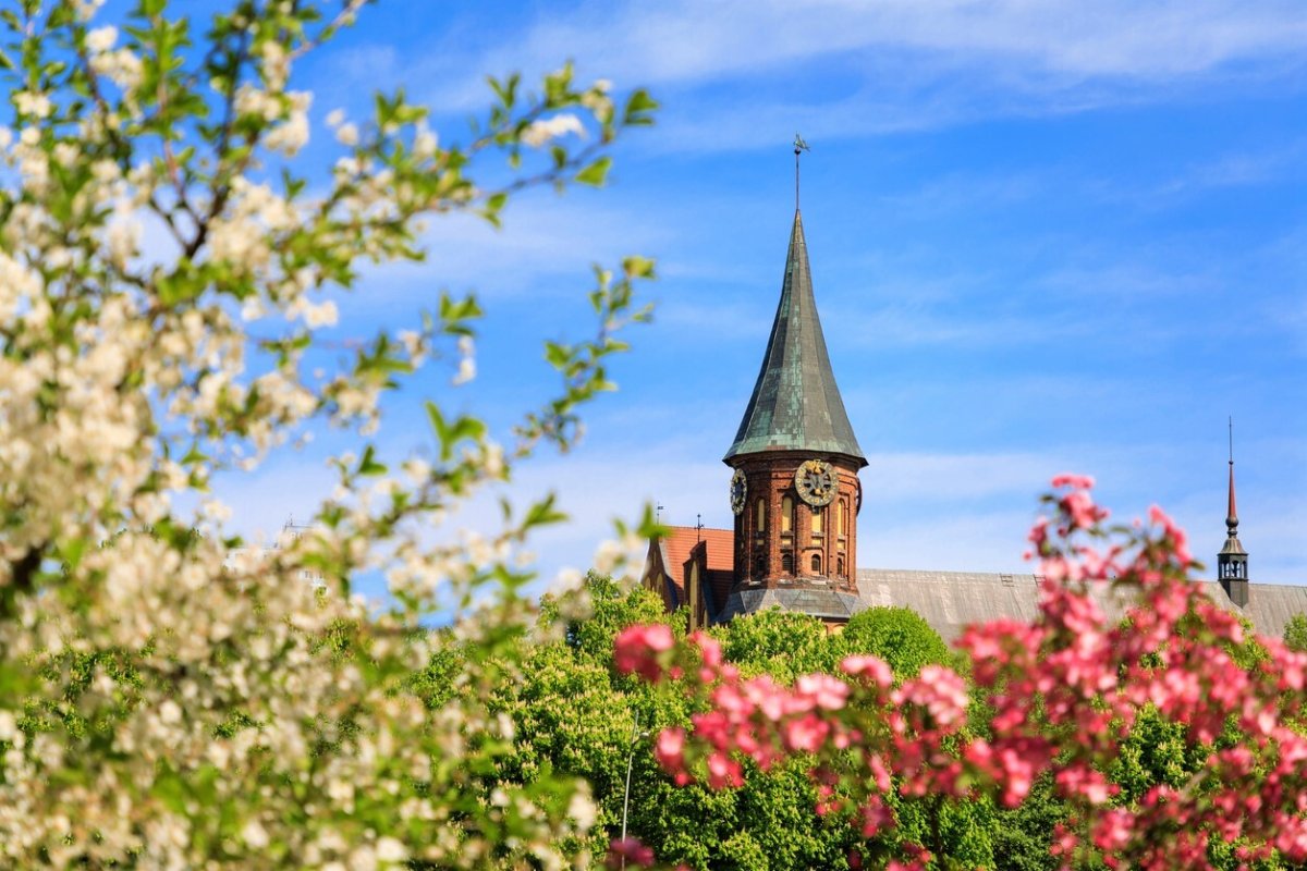 Зеленоградск замок