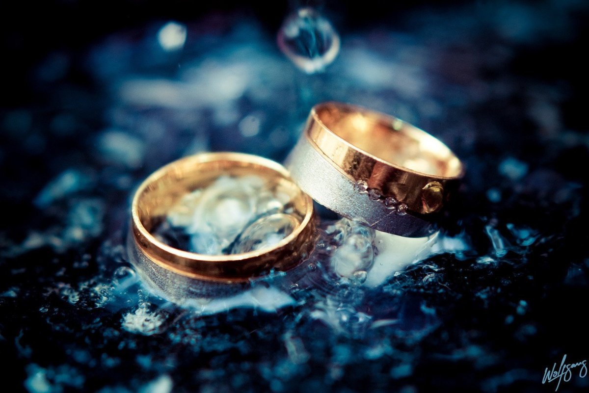 Обручальные кольца Макросъемка
