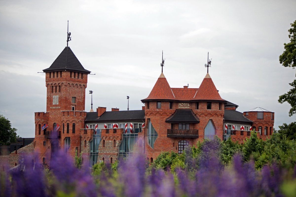 Калининград площадь города