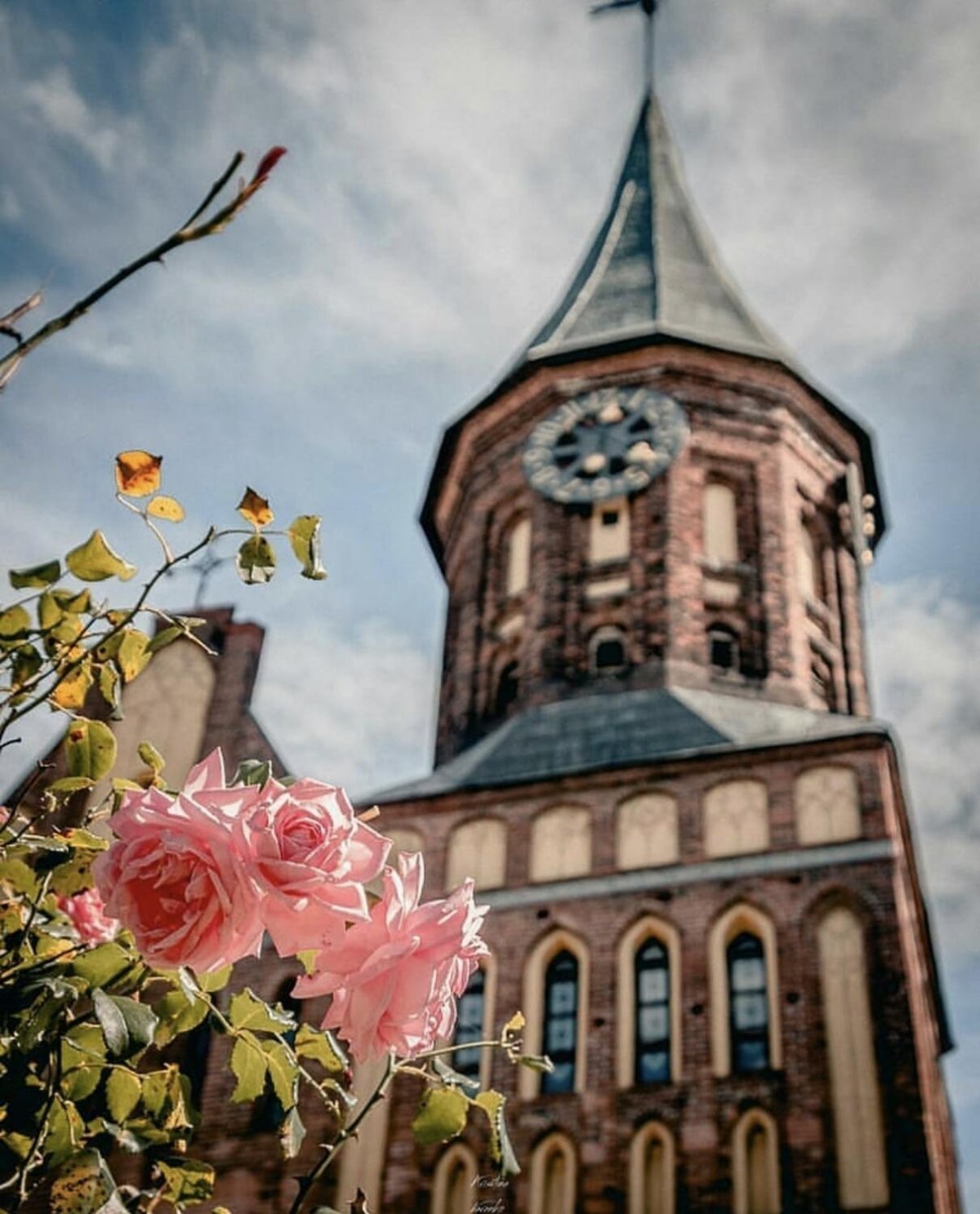 Калининград весной