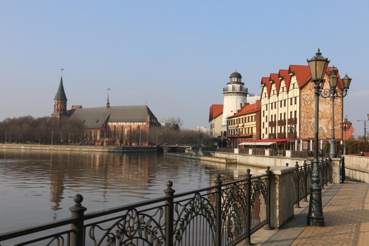 Хуциев Григорий Гарриевич Калининград кафедральный собор