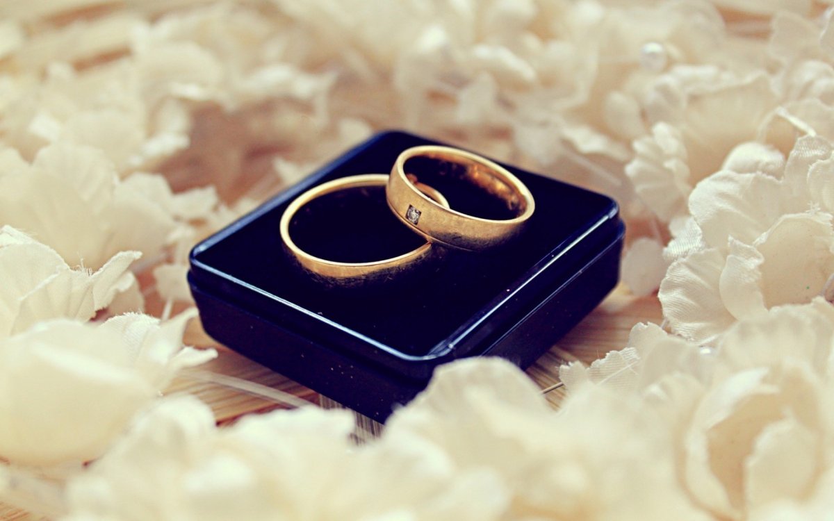 Два обручальных кольца в коробочке