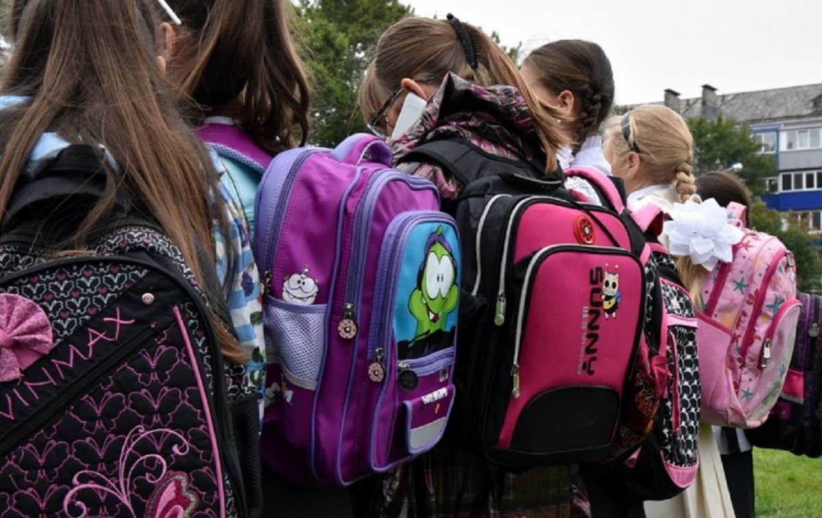 Школьный рюкзак на зелёном фоне