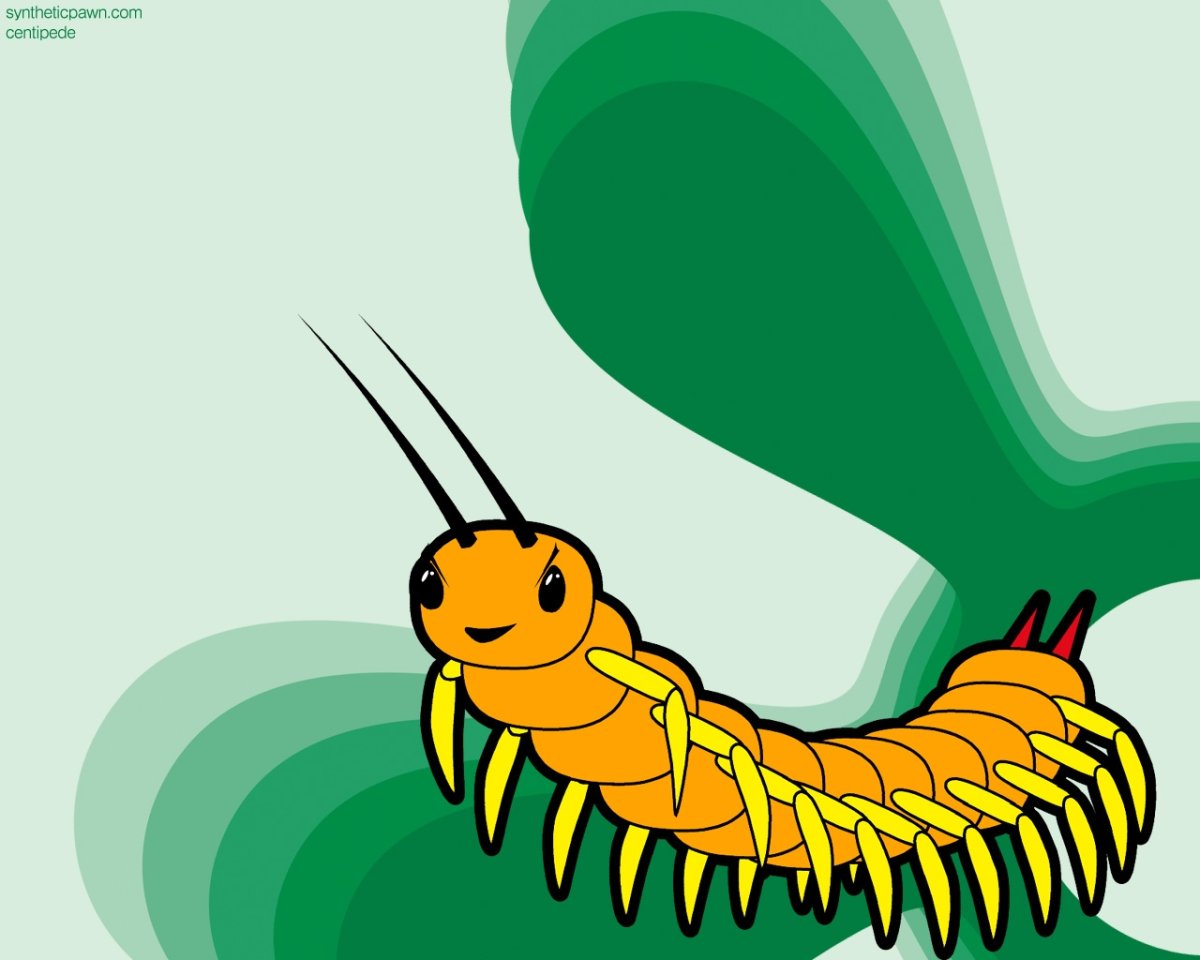 Гусеница зеленая на белом фоне