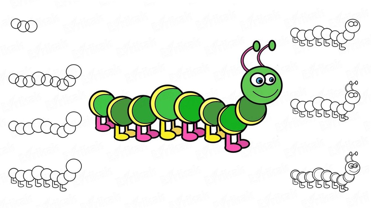 Сколопендра на белом фоне