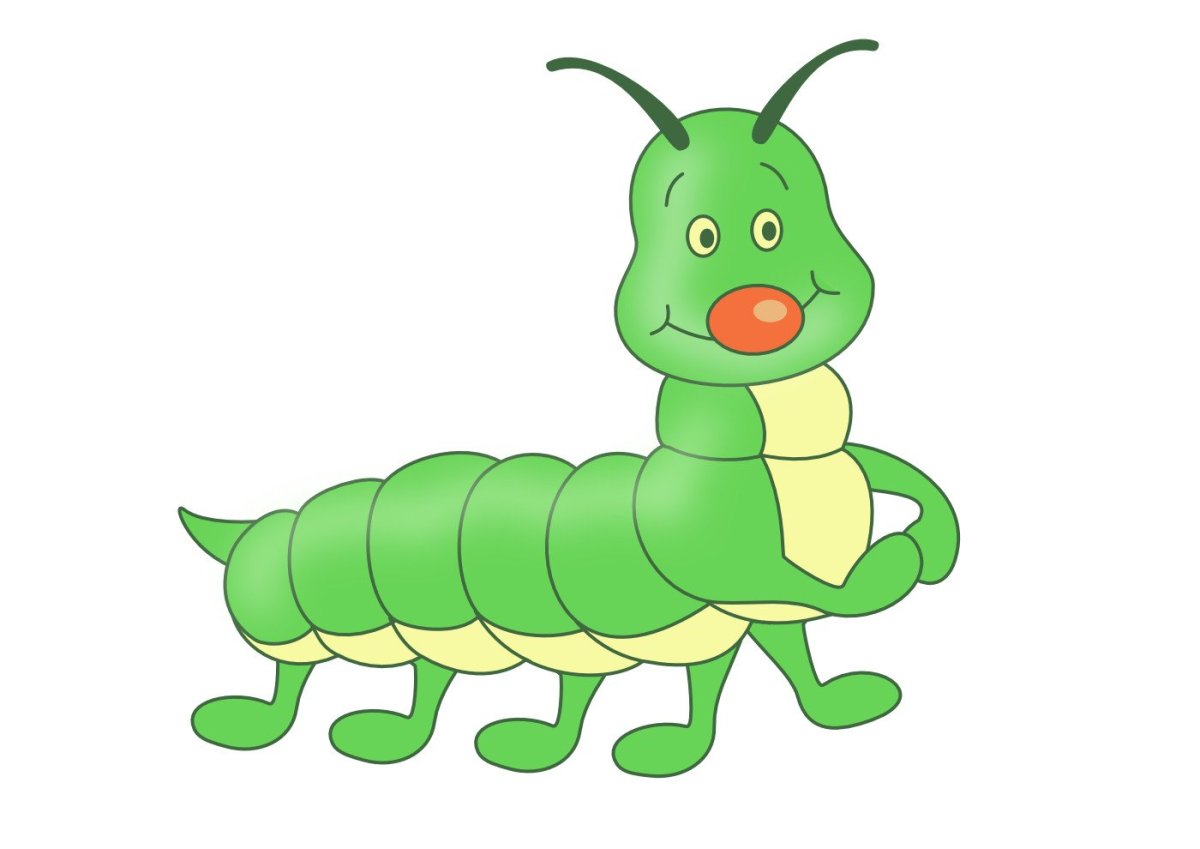 Многоножка насекомое