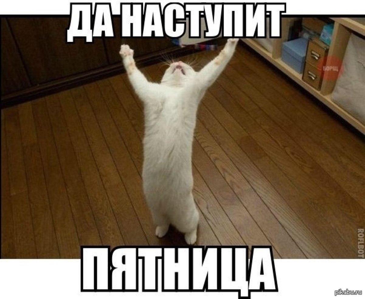 Боже Убей идиотов