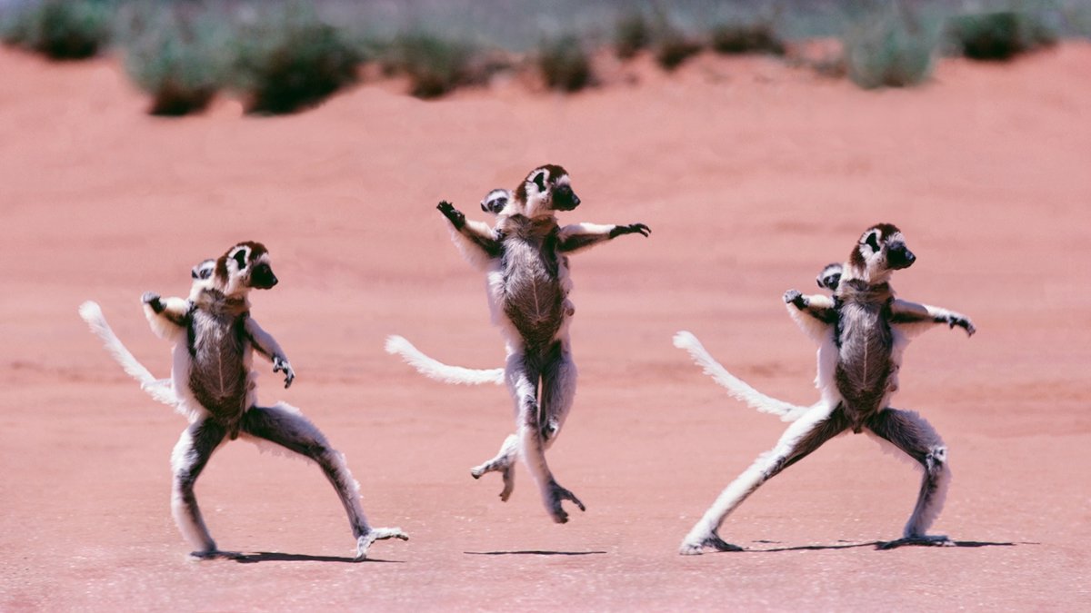 Пятница для поднятия настроения