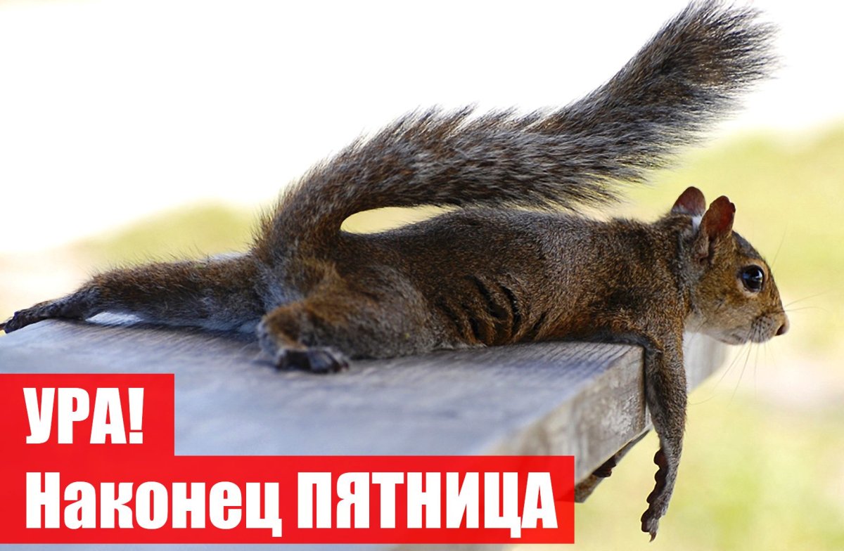 Наконец то пятница