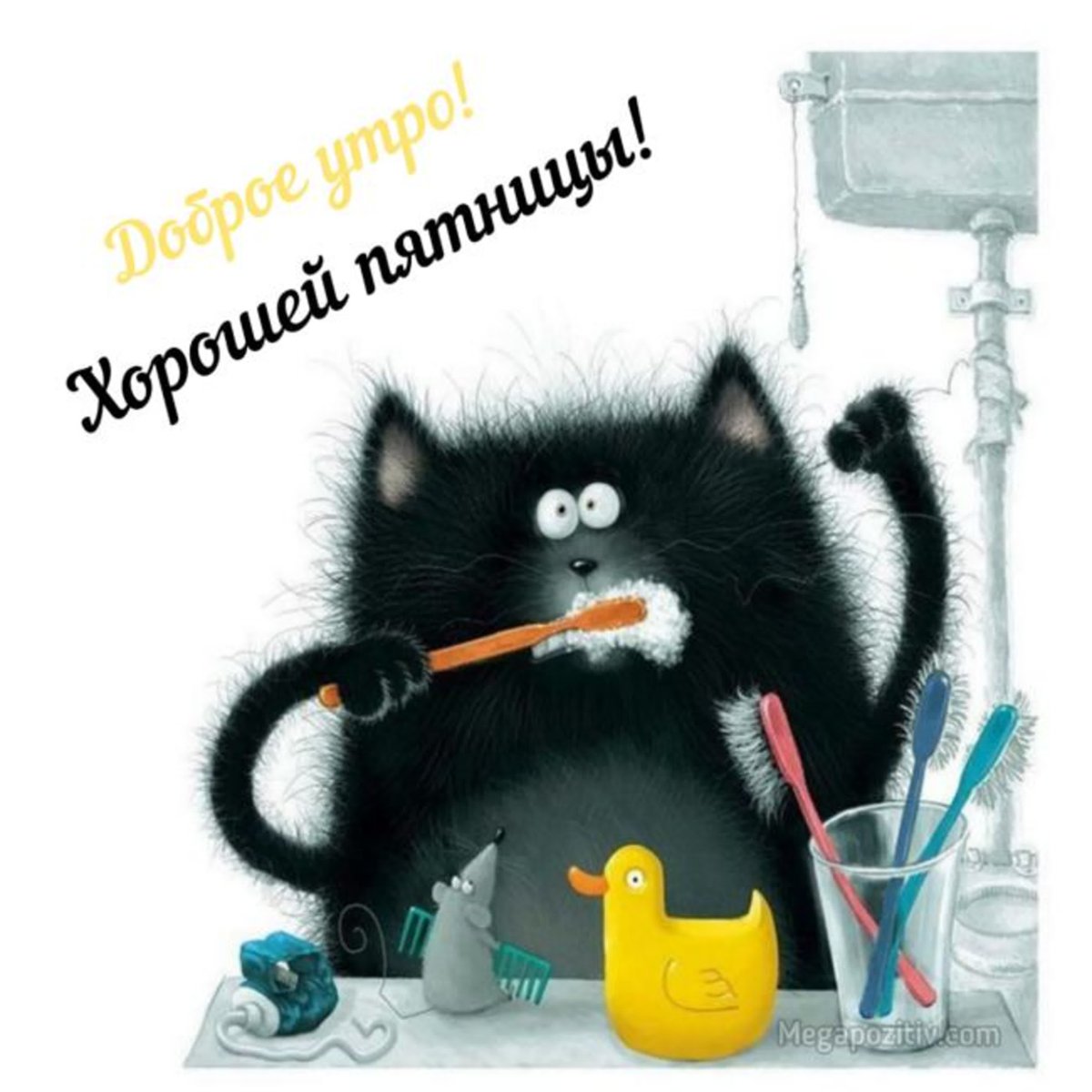 Доброе утро пятницы прикольные