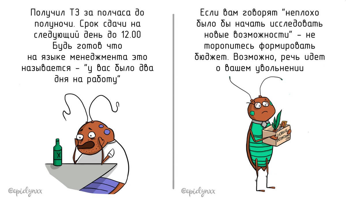 Тараканчики в голове