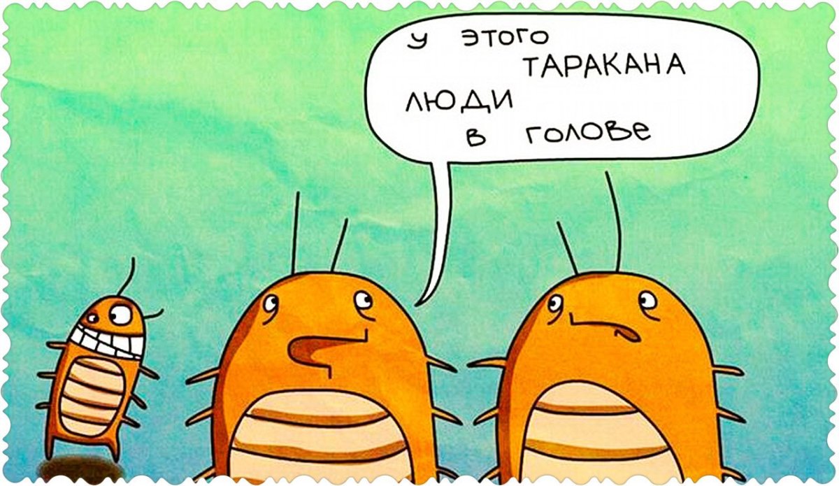 Бухгалтерский юмор