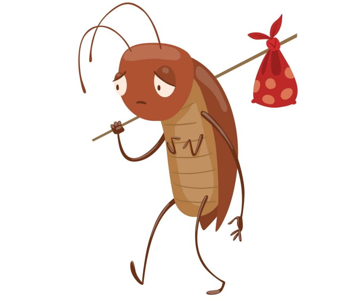 Ольга Солдо таракашки