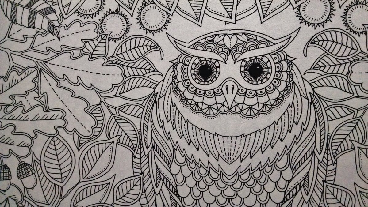 Раскраски антистресс с надписями