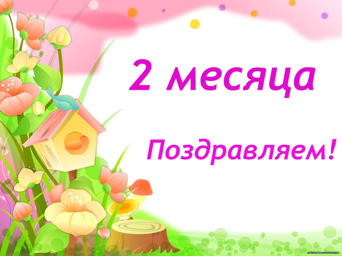 Открытка 2 месяца девочке
