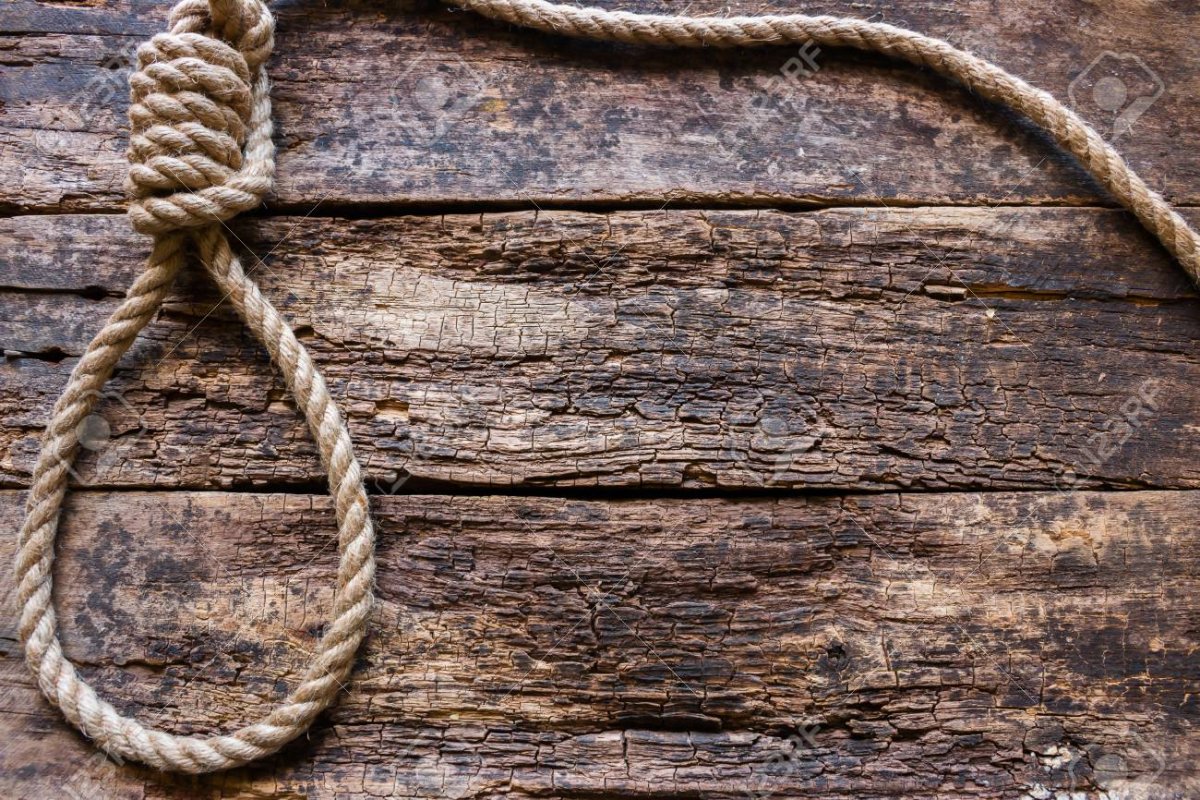 Обои верёвка на дереве