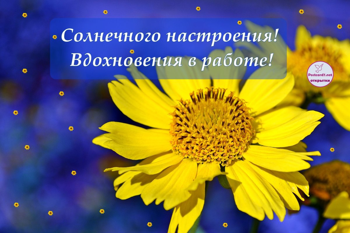 Творческого вдохновения пожелание