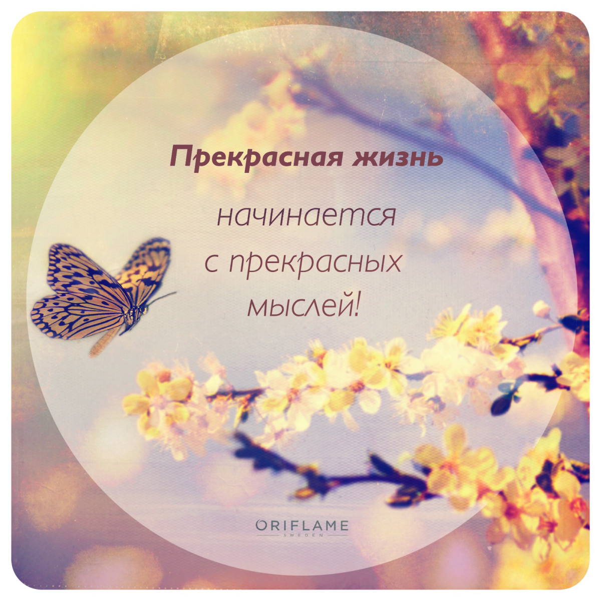 Рисование хобби Эстетика