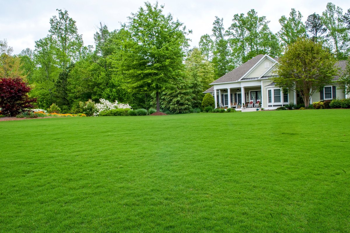 Геопластика в загородном доме