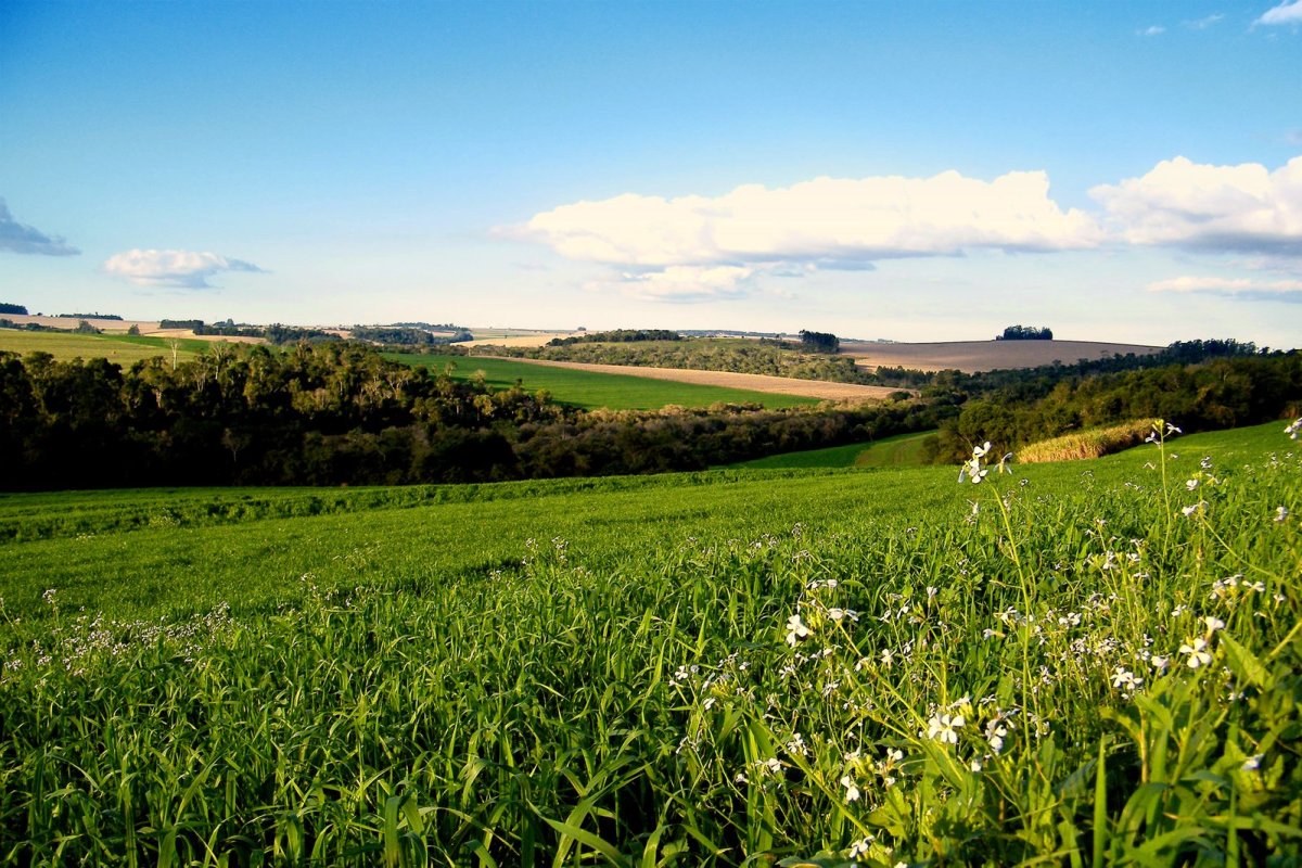Село Майский Иглинский район
