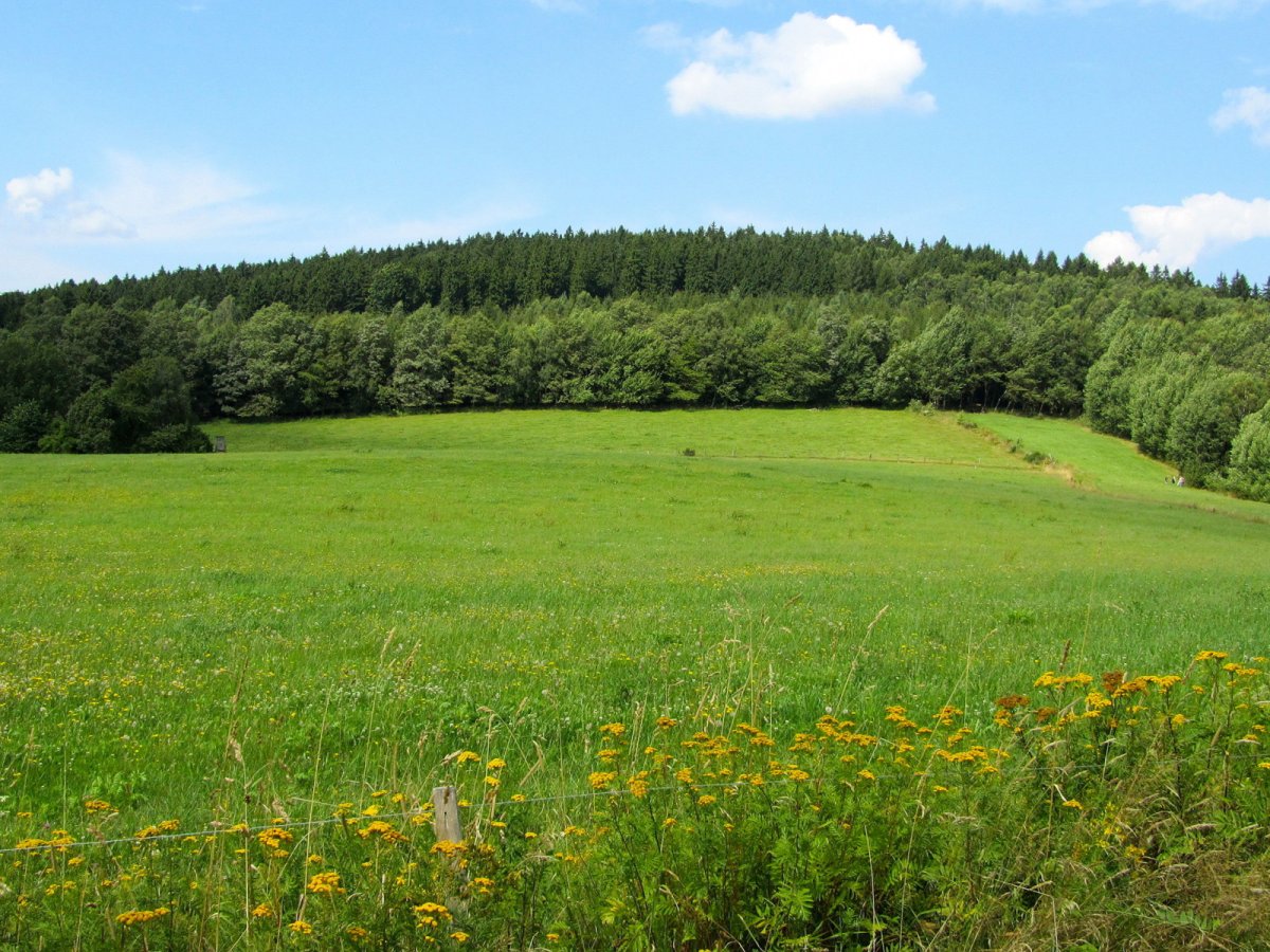 Красивый участок земли фотографии