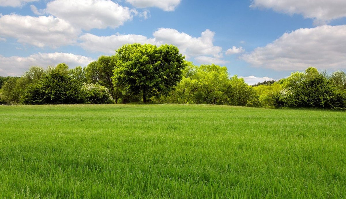 Дом на фоне неба