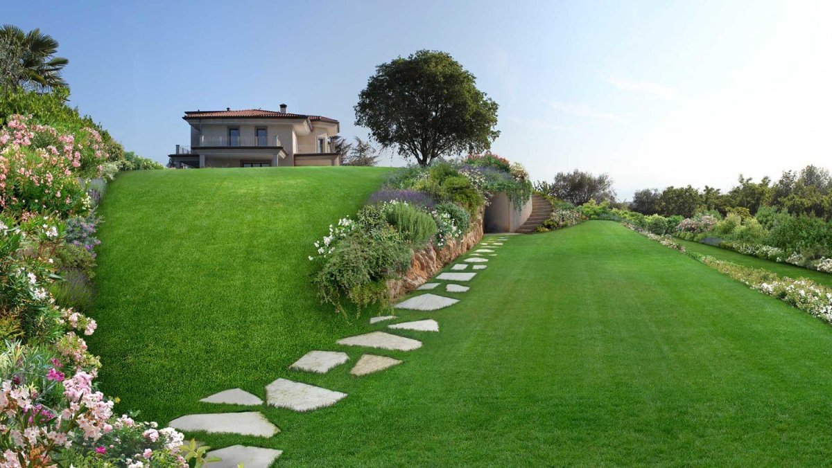 Поле равнина Белоруссия