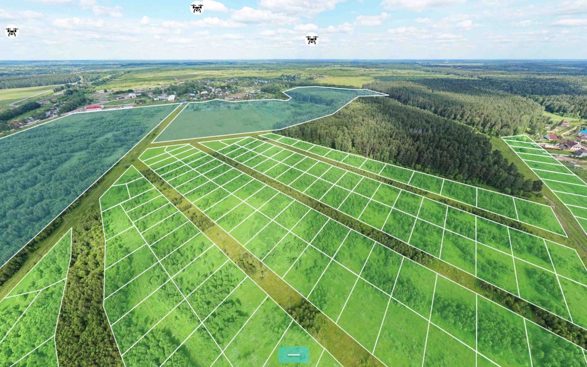 Газон на участке