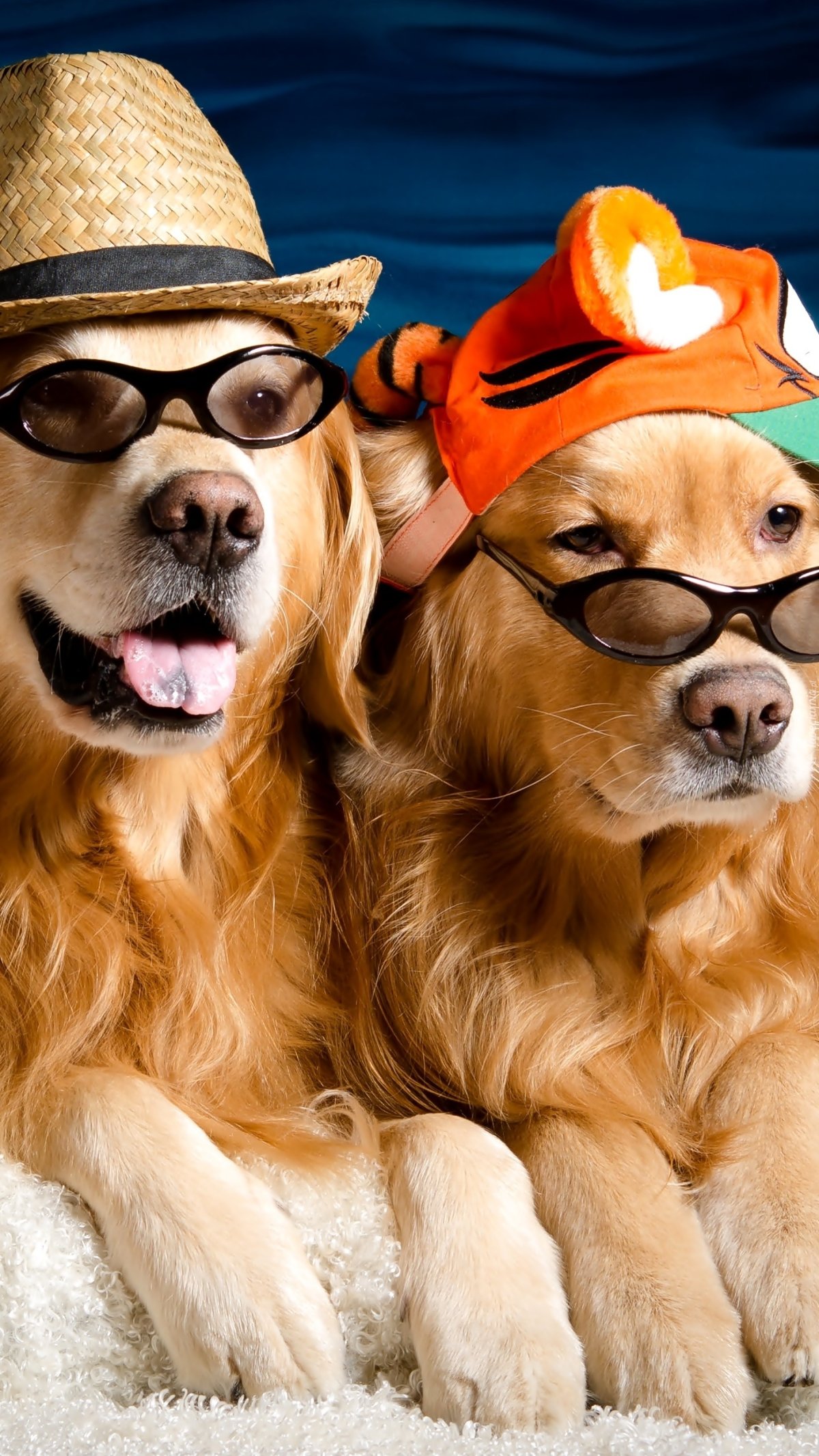 Доброй позитивной субботы