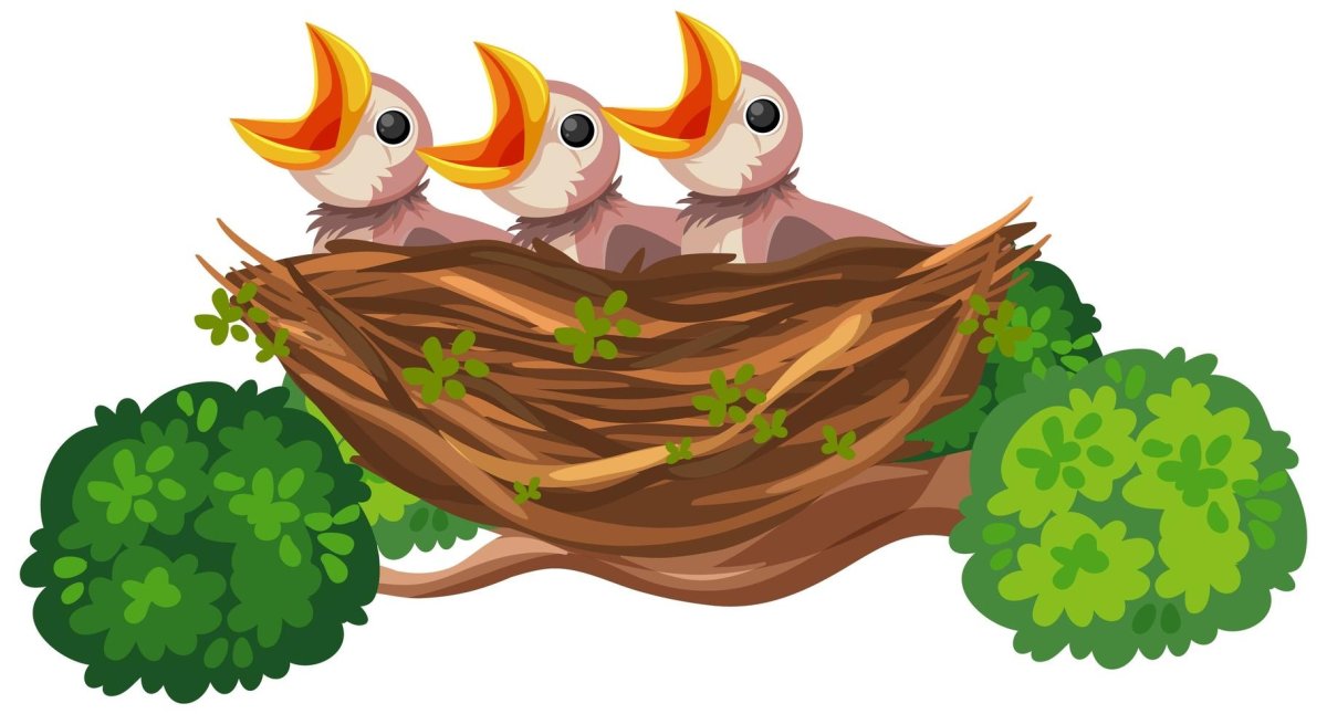 Мама с птенцами вектор