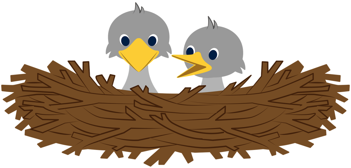 Птенцы в гнезде для детей