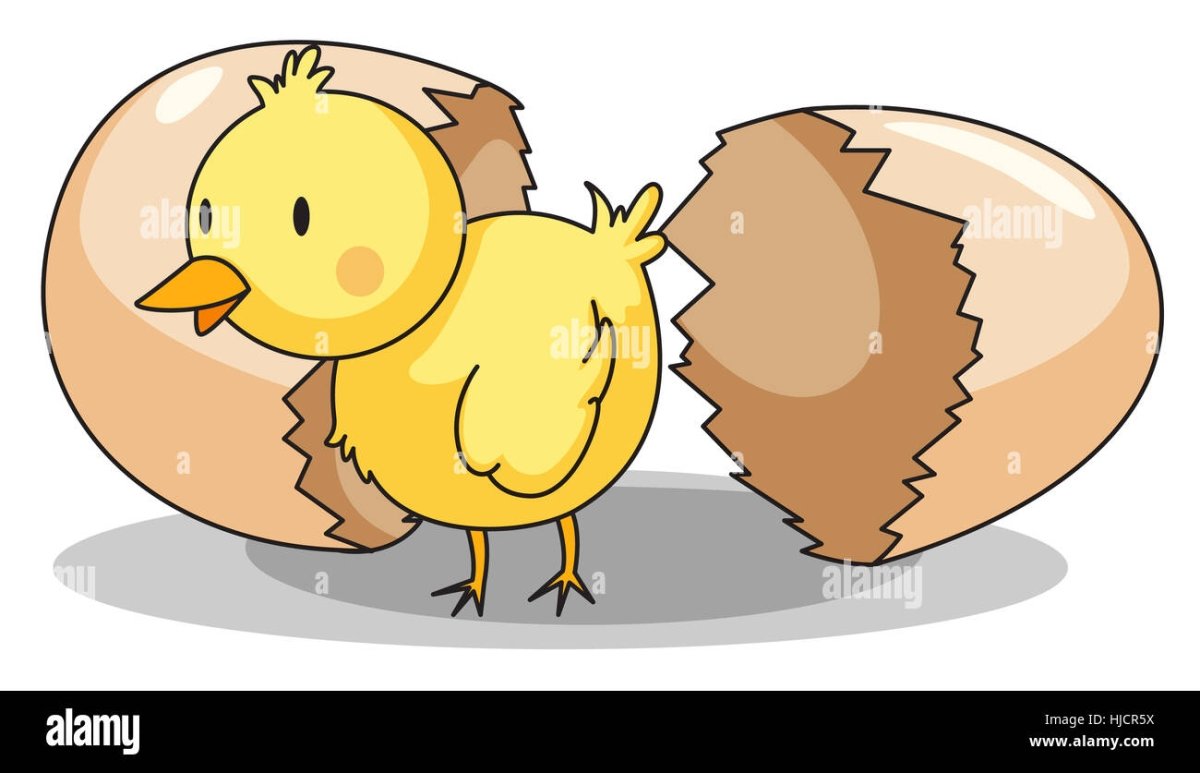 Птенцы в гнезде для детей