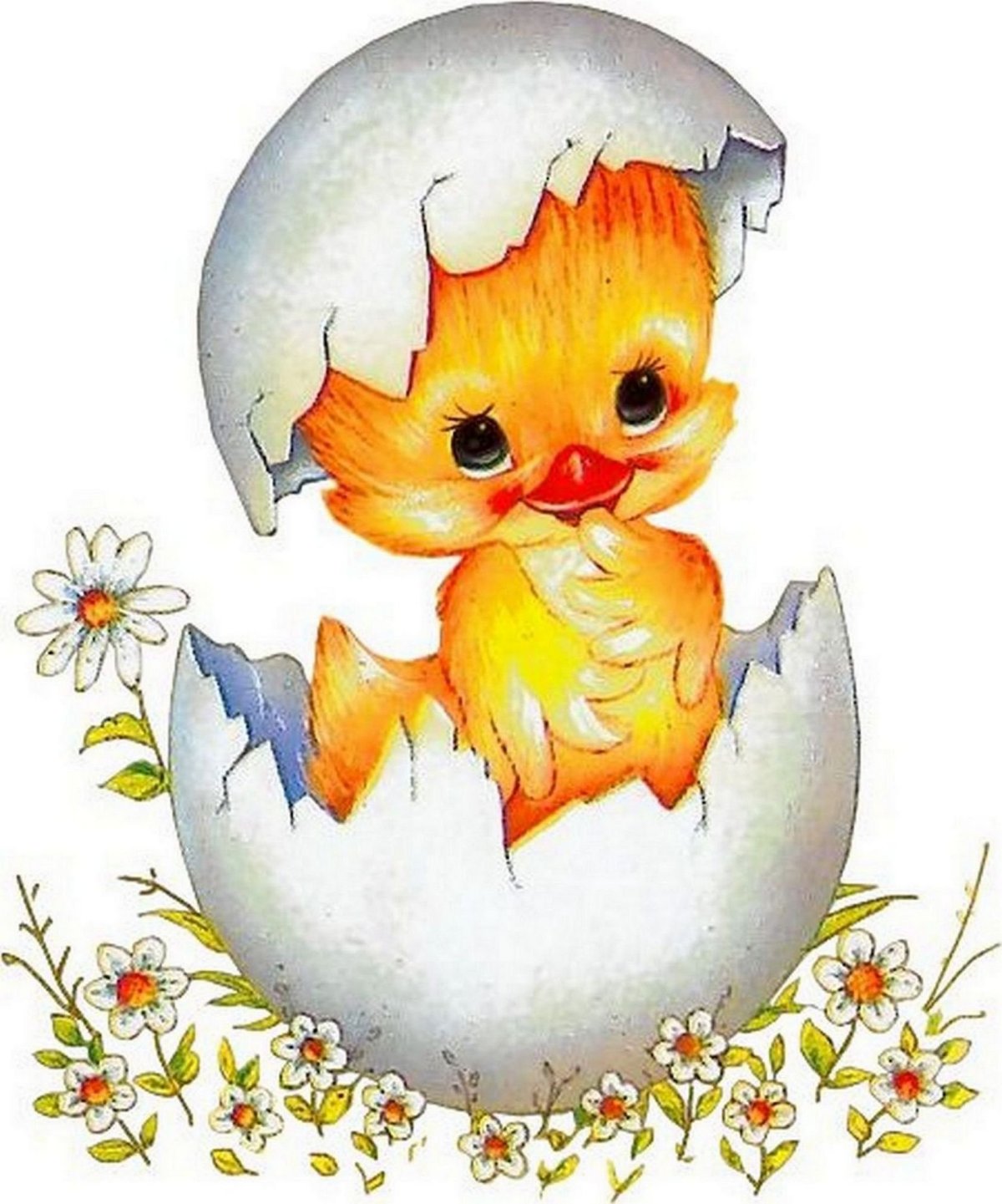 Птенец мультяшный