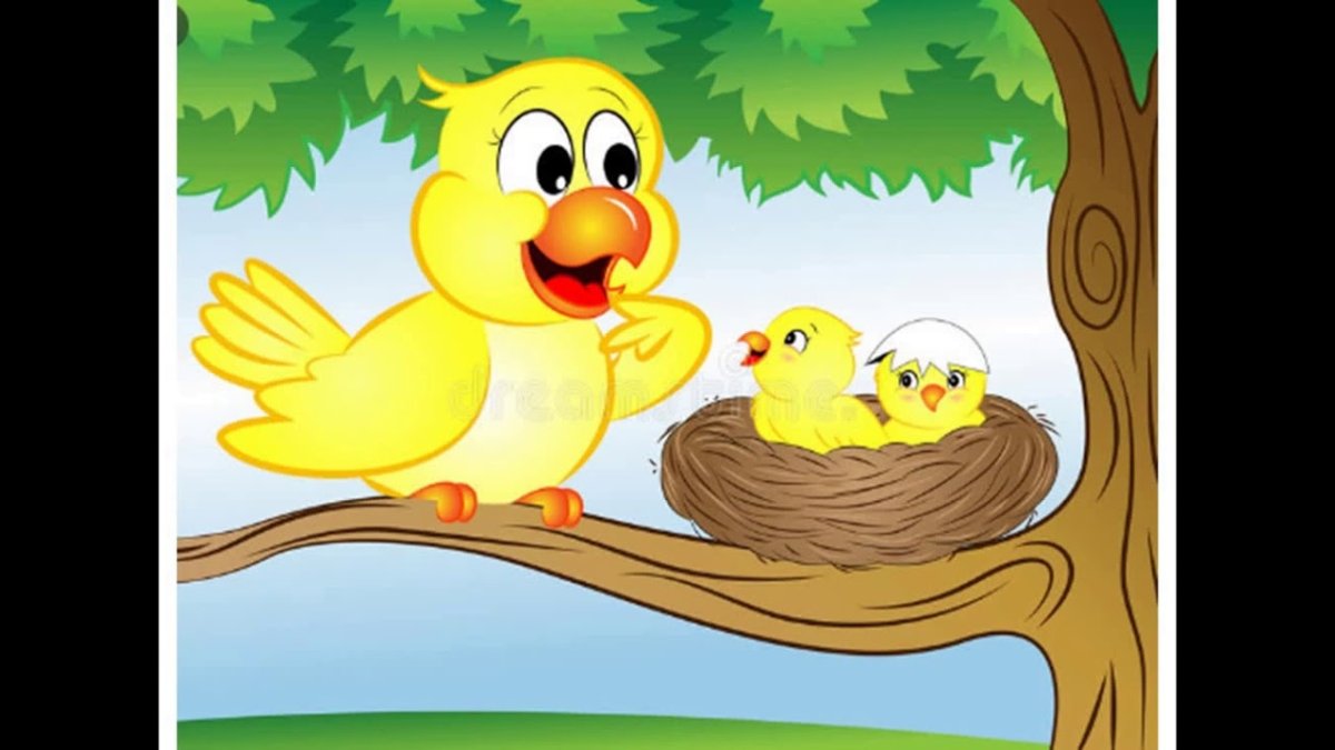 Цыпленок с бантиком