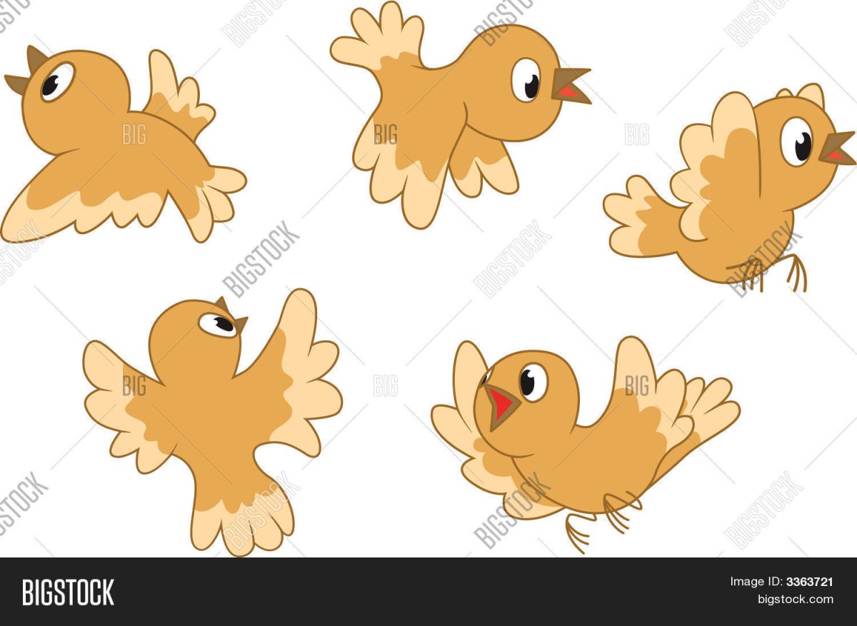 Желтый цыпленок