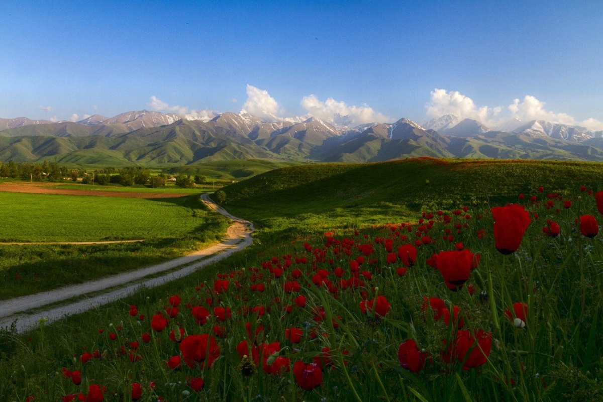 Киргизия горы Тянь-Шань