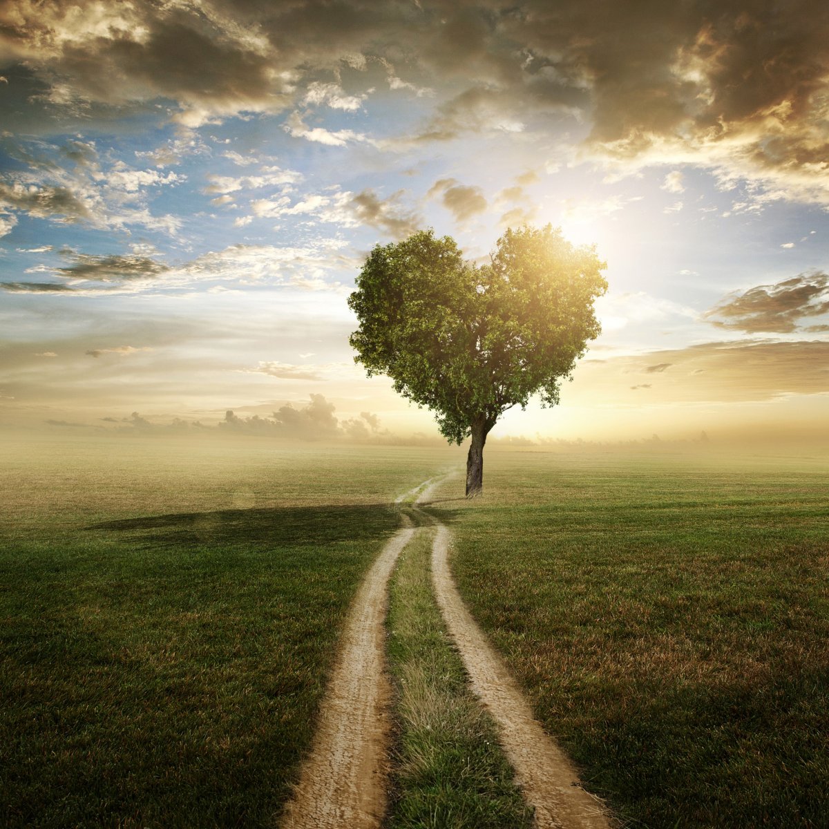 Сильнейшая мотивация