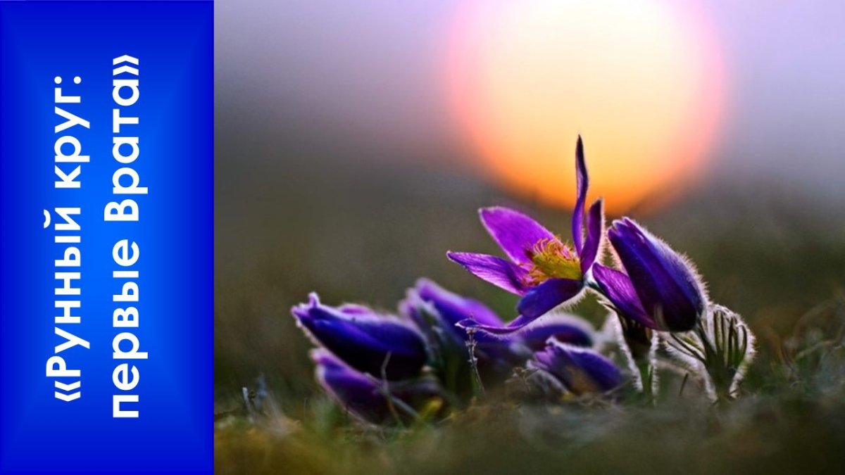 Задуматься о жизни