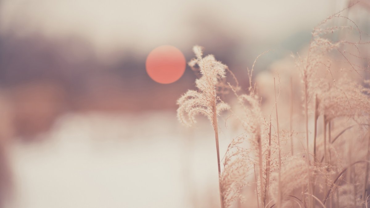 Обои Вдохновение